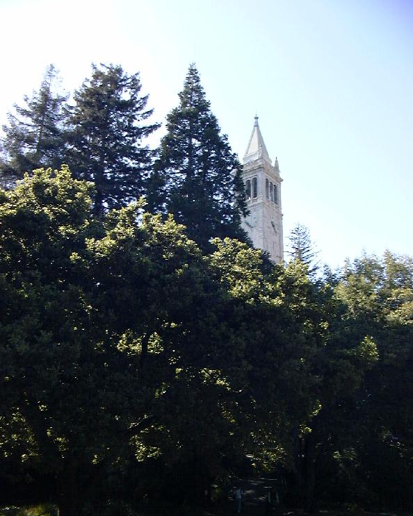 More trees and a building.