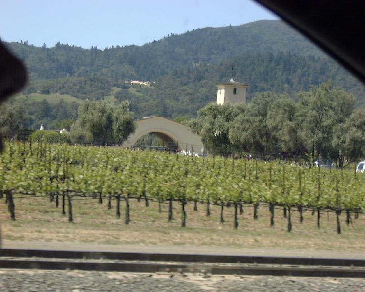 Some architecture at Mondavi winery.