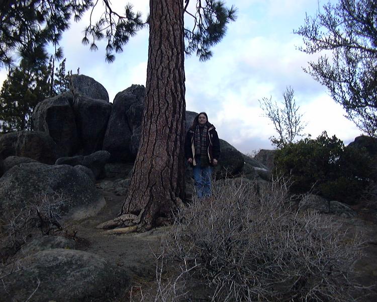 Megan And Tree