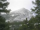 On the walk we found a mountain.