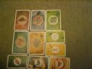 catan english cards0003