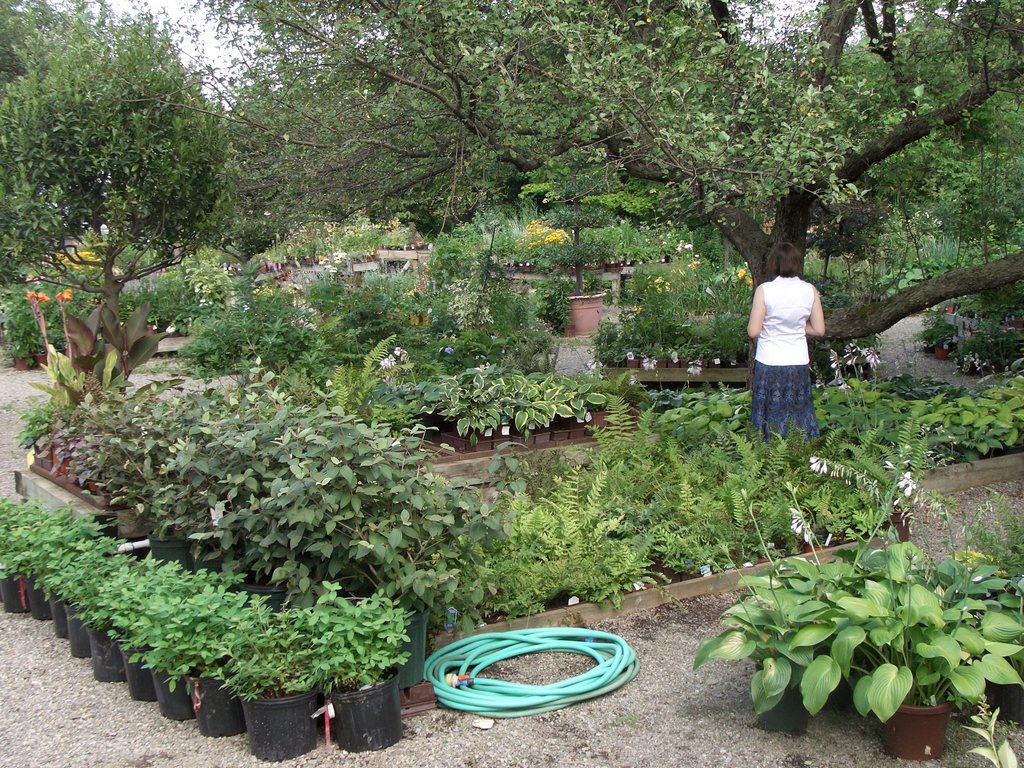 The nursery is lovely.