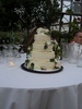 The cake