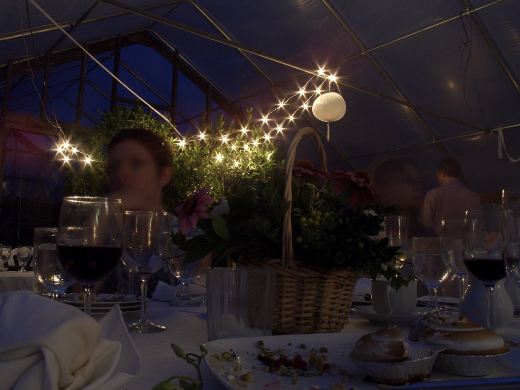 Greenhouse at night