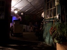 Karaoke in the greenhouse