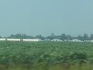 And some pretty big farms