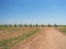 Cadillac Ranch