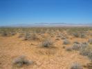 Desert Tortoise Preserve